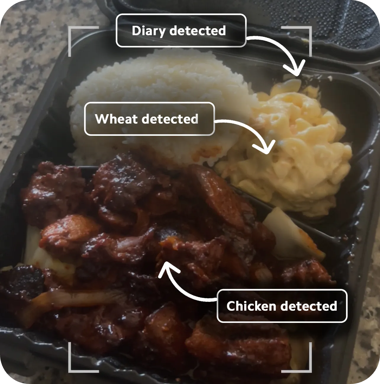 How Healthsnap Works